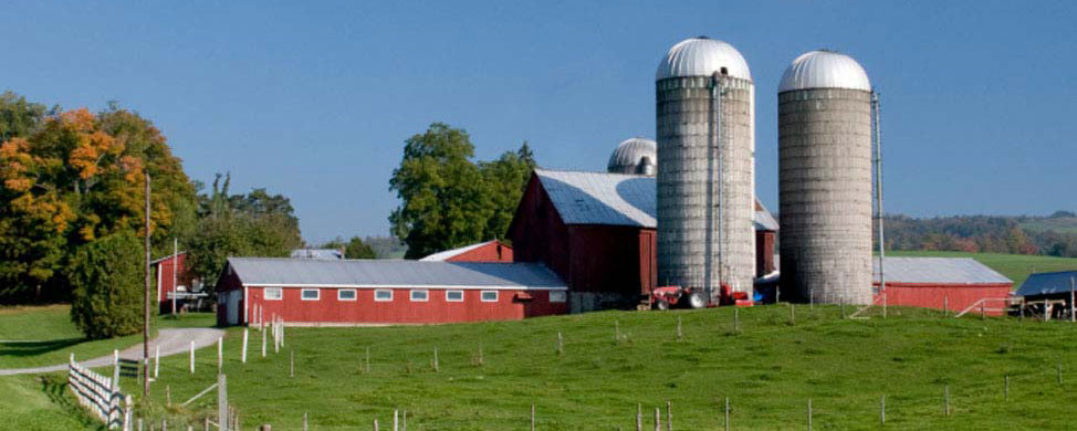Farm setting